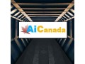 ai-premium-domain-for-sale-aicanada-net-small-0
