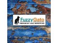 premiuim-domain-for-sale-fuzzygato-com-small-0