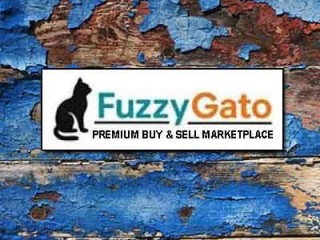 premiuim-domain-for-sale-fuzzygato-com