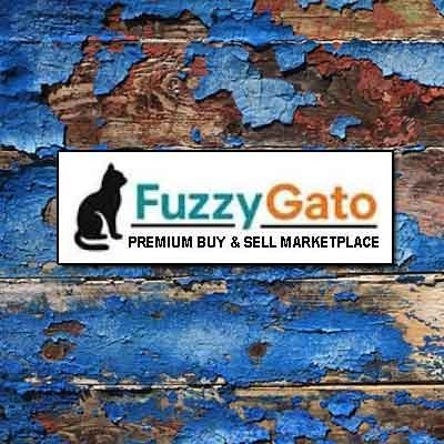premiuim-domain-for-sale-fuzzygato-com-big-0