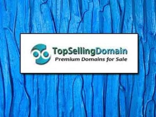 high-quality-domain-for-sale-topsellingdomain-com