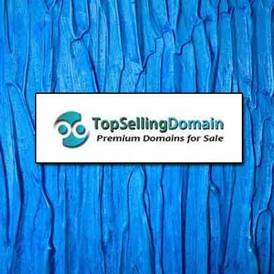 high-quality-domain-for-sale-topsellingdomain-com-big-0