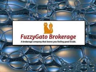 niche-premium-domain-for-sale-fuzzygato-broker