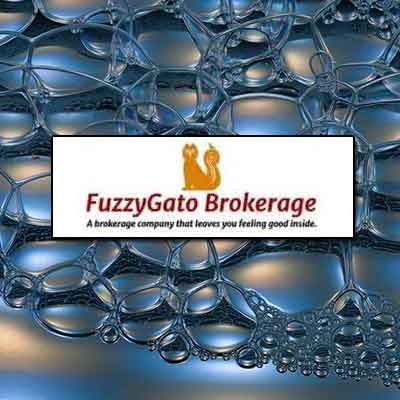 niche-premium-domain-for-sale-fuzzygato-broker-big-0